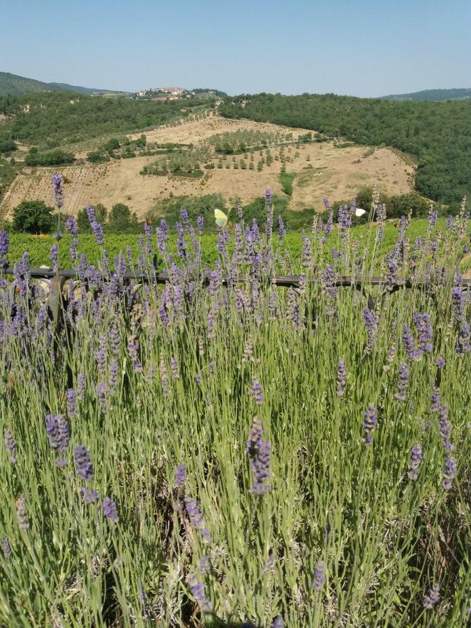 Villa Vistarenni Gaiole in Chianti Bagian luar foto